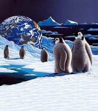 font b Photo b font font b Studio b font Floor Penguins At The South