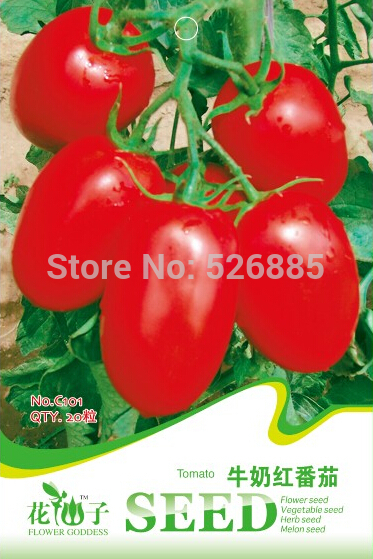 Milk red tomato seeds cherry tomatoes tomato seeds organic fruits and vegetables 20 Seed particles