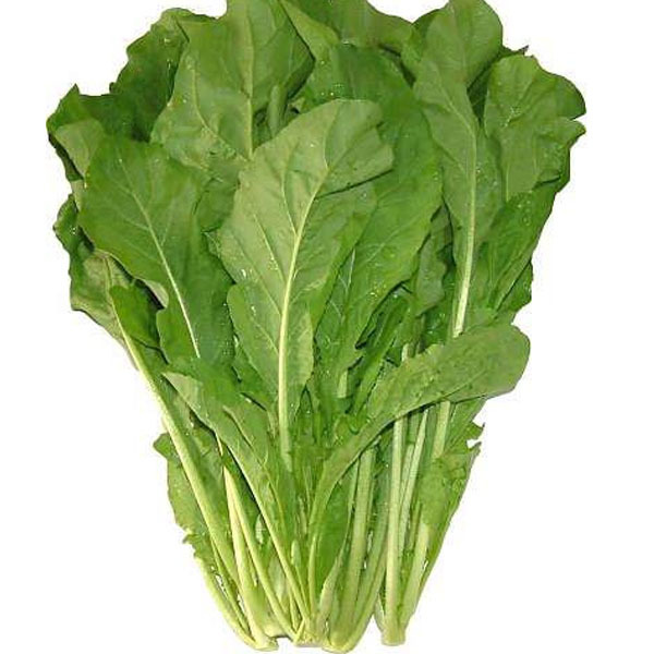 Popular Leafy Green VegetablesBuy Cheap Leafy Green Vegetables lots from China Leafy Green