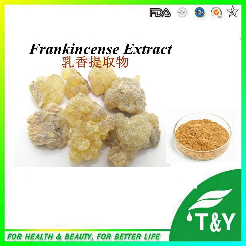 Frankincense Extract Powder Plant/Manufacturer/Boswelia Serrata Extract 800g/lot