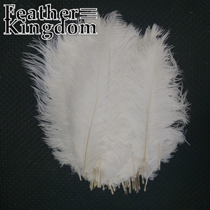 20-25cm white ostrich feather