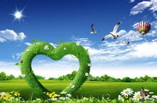 mc112 Computer Printed Wedding Photography Backdrop 5ft*7ft Studio Photo Background Size would Be Customized, Various Selection