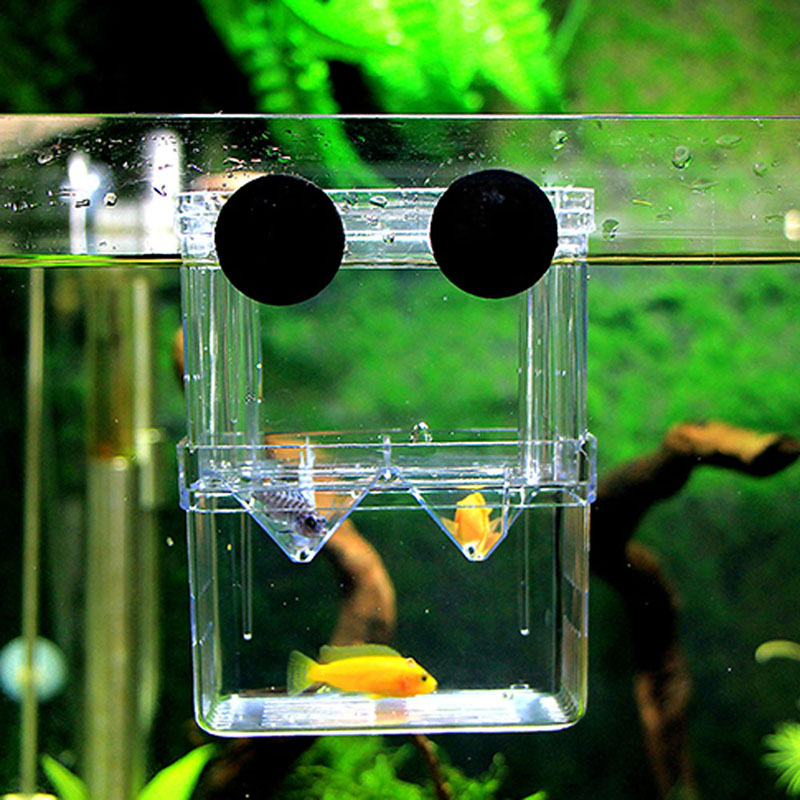 /  Fish Tank   1 .      