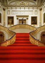 golden luxury house theme studio backdrop stairs with red carpet background photo digital cloth f-5729