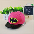 16 new fashion spring and summer dress hip hop hat flat brimmed hat child with a
