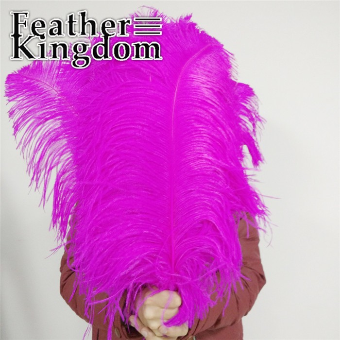 50-55cm rose ostrich feather