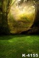 Background Photo Studio Forest 5x7ft Sunshine Props Photography Backdrops Computer Painted Vinyl Digital Background Spring Photo