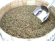 Free Shipping 100g Jamaica Blue Mountain Coffee Beans Organic Green Raw Bean