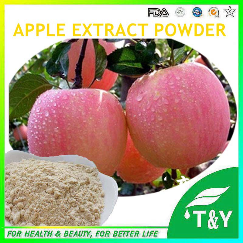Offer Natural Apple Extract Extract 10:1