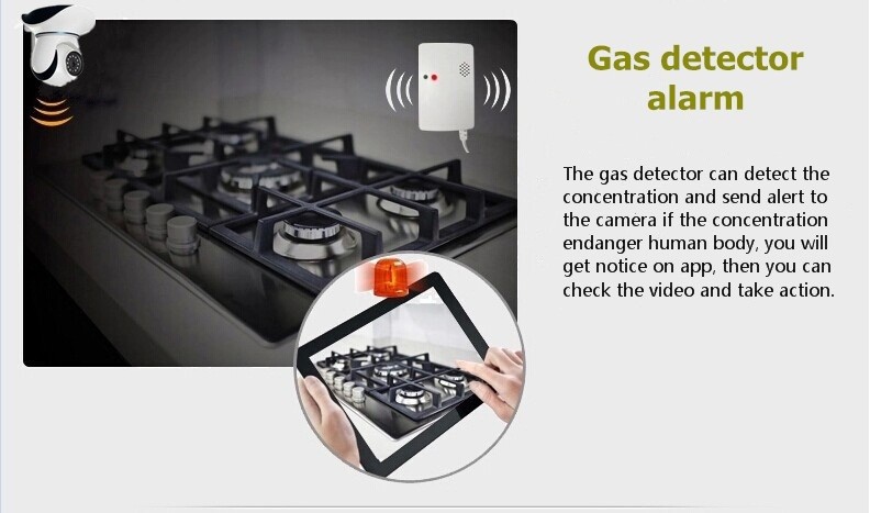 gas detector alarm