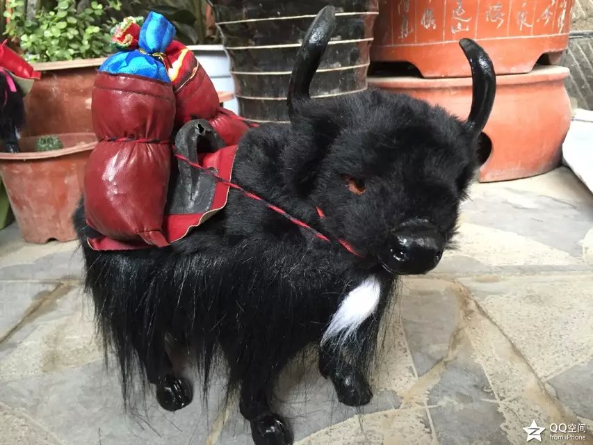 plush yak