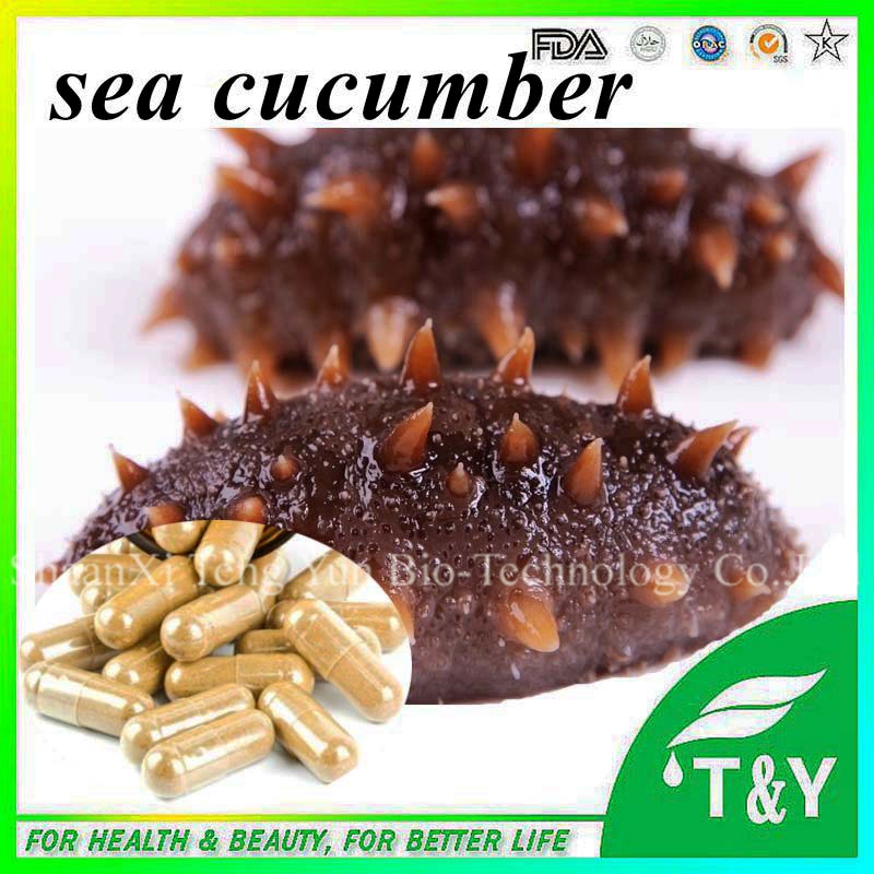 Online Buy Wholesale dried sea cucumber from China dried sea cucumber Wholesalers