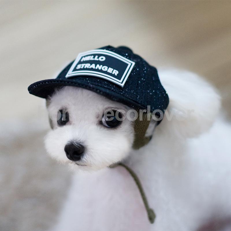 Hello Stranger Cap Dog Cat Puppy Baseball Hat w/ Ear Holes Adjustable 