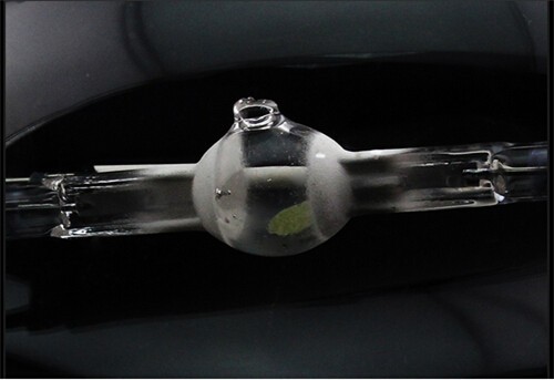 Description Picture 5 of itemMetal halide bulb 70W 150W 250W 400W 1000w Spherical metal halide light 250w ball type Metal halide lamp 400w