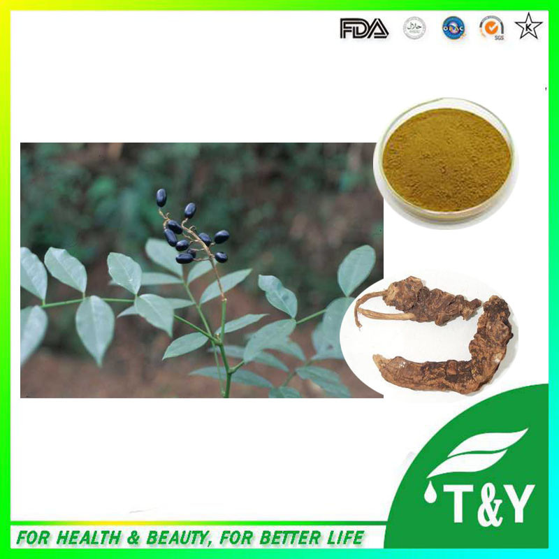 Manufacturer Supply High Quality Tonkin Sophora Root Extract/ Matrine 700g/lot