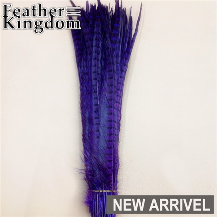 purple ringneck pheasant feathers 1