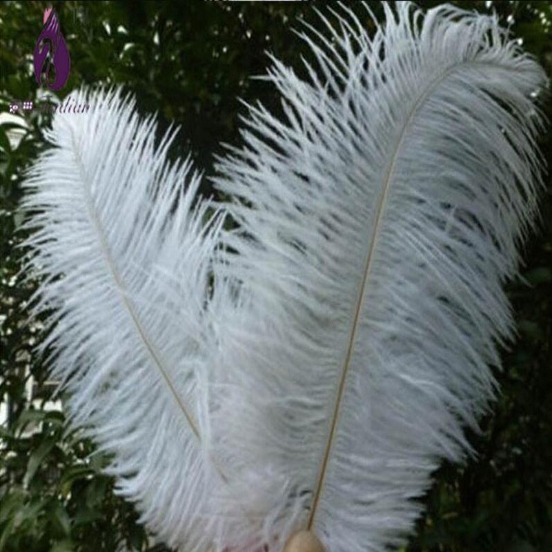 Ostrich white feather plumage natural dyed