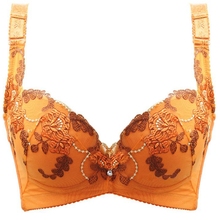 Hot ! Magnetic fashion sexy big size brassiere push up lace support wholesale A B C D E Cup bras for women