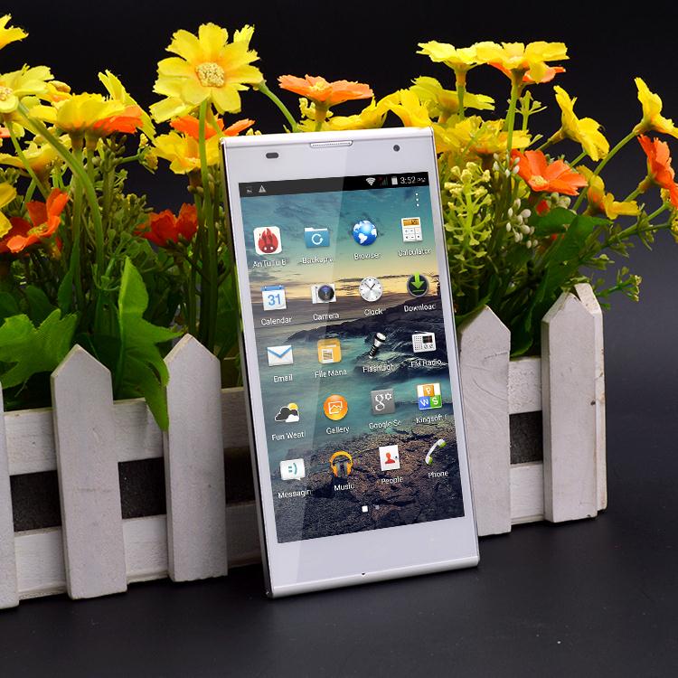 5 Android 4 4 Dual Core Smartphone 512MB RAM 4GB ROM 4 0MP CAM 5 Inches