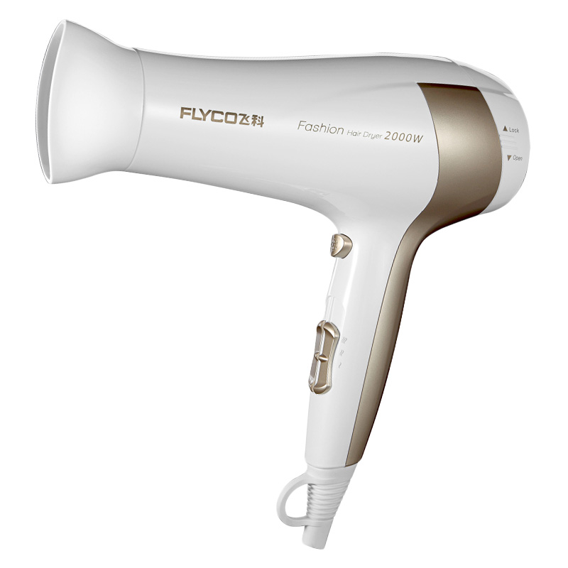 Free shipping FLYCO Professional + 2000W high-power hair dryer hot and cold silent household