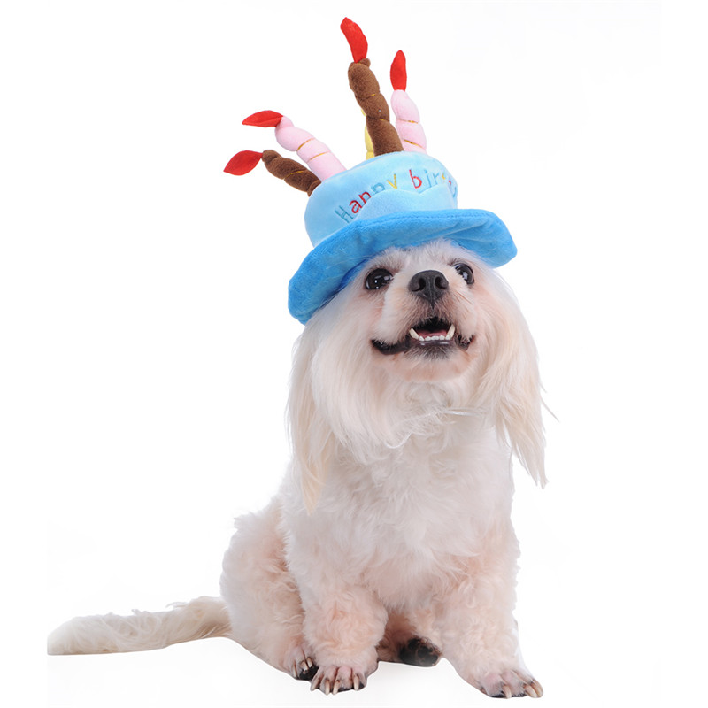 2016    Pet       Canddles      Cap Hat    