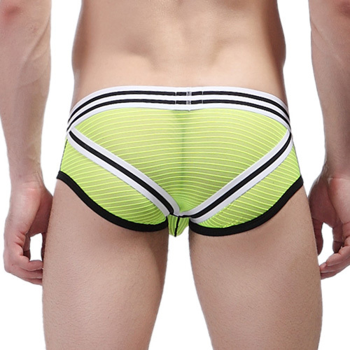 Hot Men s Briefs Sexy Mens Brief Underwear Mesh Stripe See through Transparent Hip Men Man