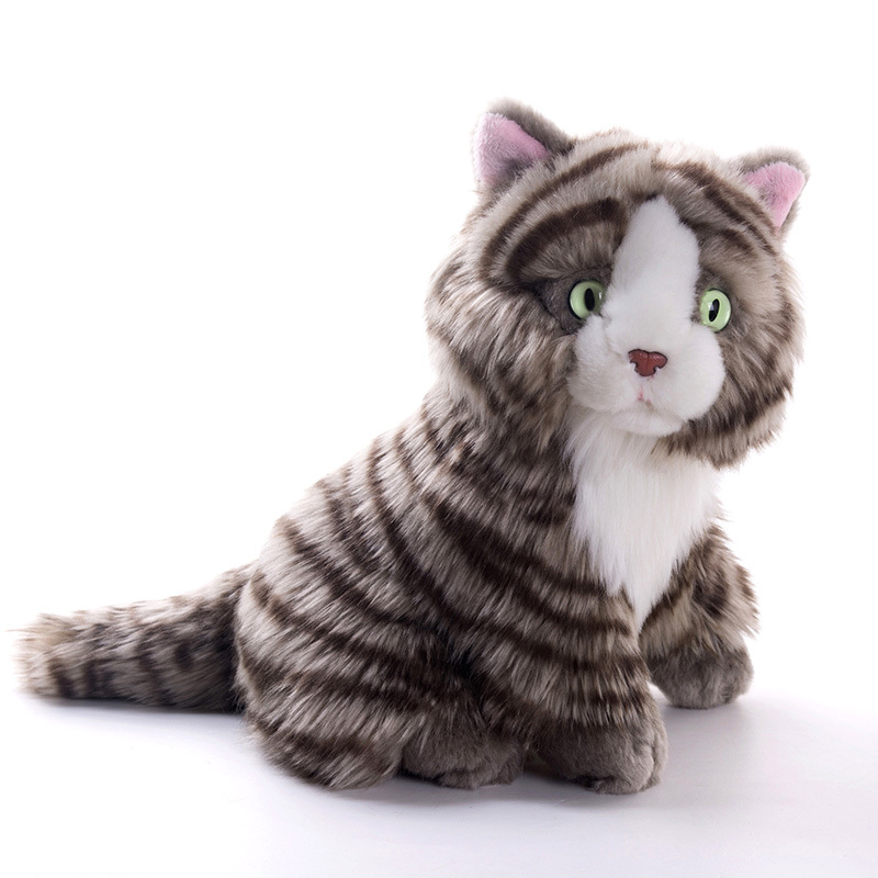 plush toy kitten