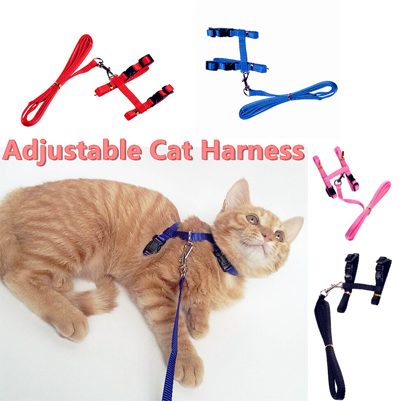 cat harness1