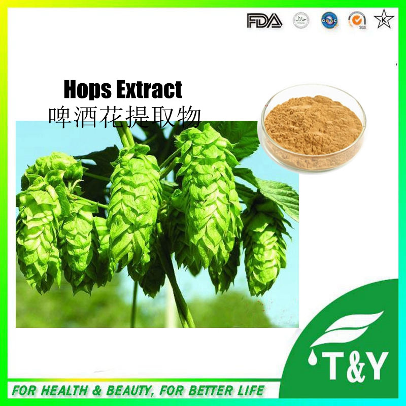 100% Pure Flavone hops flower extract | Hops Extract/Humulus Lupulus Extract 400g/lot