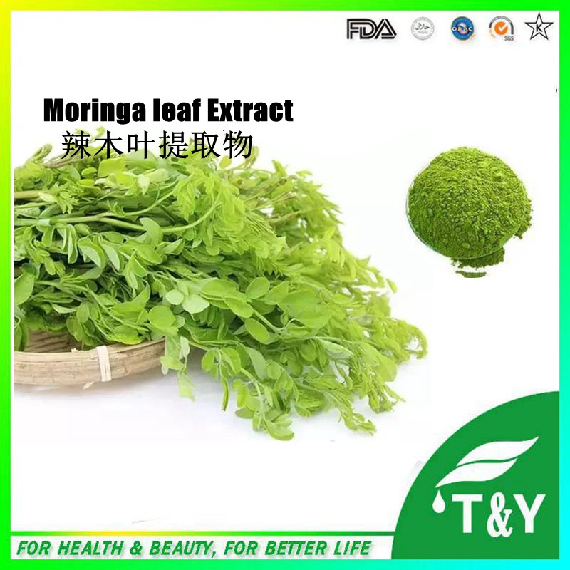 Moringa Leaf Extract , Moringa Leaf Extract Powder, Moringa Leaf P.E. 700g/lot