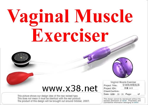 vagina muscular vagina muscular