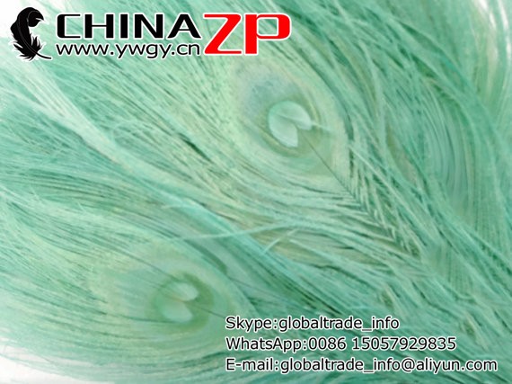 Mint Peacock Feathers, 100 Pieces - AQUA Bleached and Dyed Tails Peacock Feathers (bulk) 2