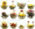 12 kinds blooming tea/Art tea  free shipping!