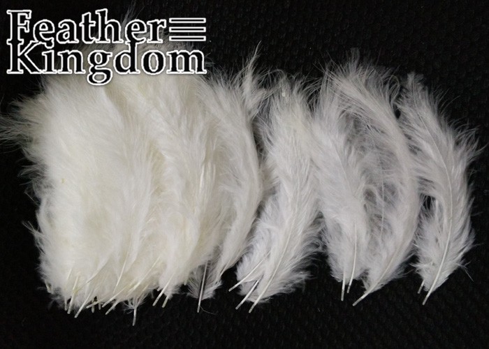 white Turkey feathers