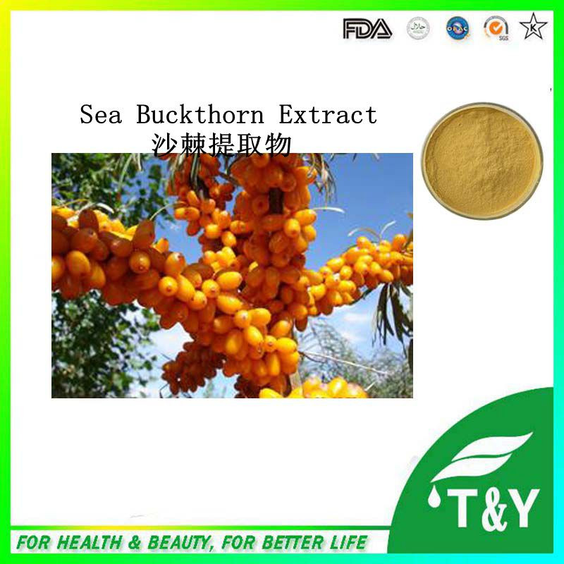 High Quality Flavones Sea Buckthorn Berry Extract/Hippophae Rhamnoides Extract 700g/lot