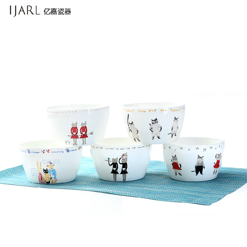 Ijarl Ka billion Chinese new bone Korean high-grade ceramic tableware bowl set square meters bowl bowl cat story