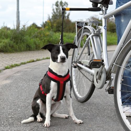 Buy Flexible Dog Leash Bike Dog Leash Dogs Lead Bike