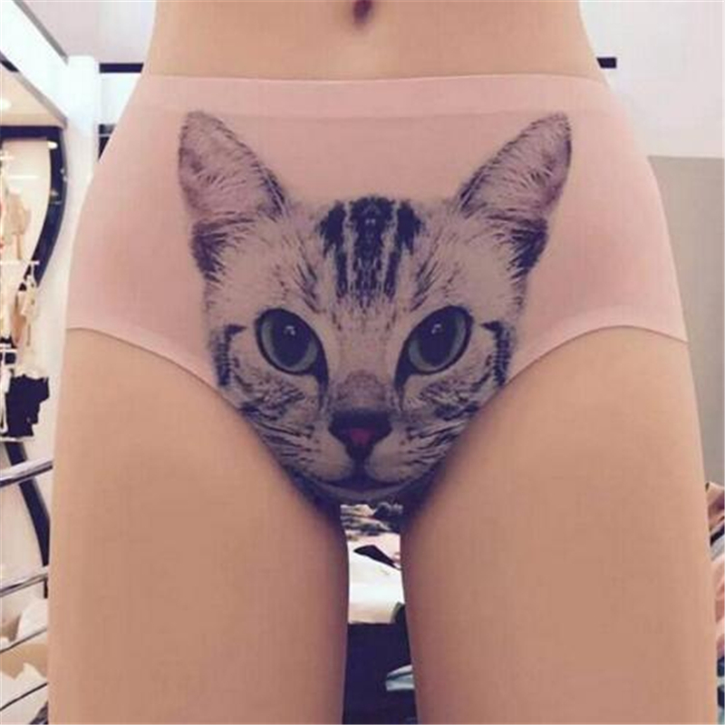 5pcs set Women Underwear 3D Print Pussy cat Panties100 Cotton Briefs Ropa Interior Mujer Anti Emptied