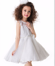 Hot New Infant Children Girl Tutu Dress vestidos Kids Cute Lace Flower Summer Party Princess Dresses baby girl Brand Clothes
