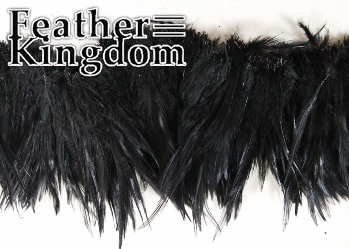 black rooster feather 1-700