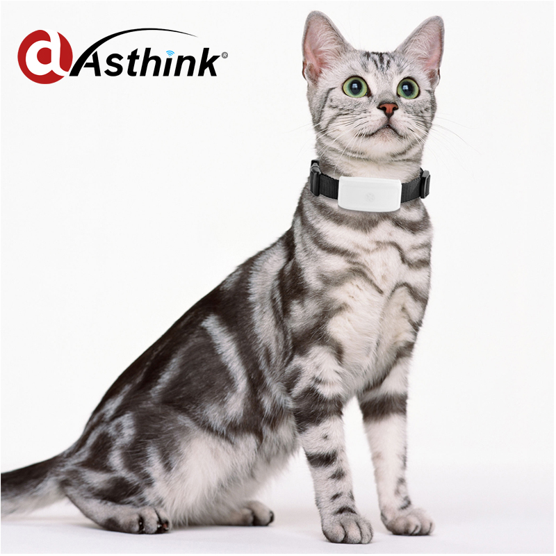 Popular Cat Gps Tracking CollarBuy Cheap Cat Gps Tracking Collar lots from China Cat Gps