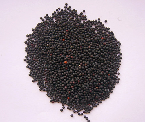 1kg 10:1 Cowherb seed extract powder