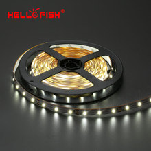 Hello Fish 5m 300 LED 3528 SMD LED strip 12V flexible light 60 led m LED