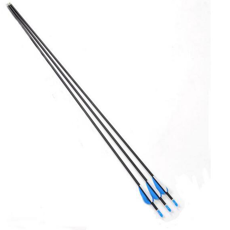 80cm 6pcs lot Carbon Arrow 6mm Archery Arrow Spine 800 Carbon Outdoor Hunting Arrows With Steel
