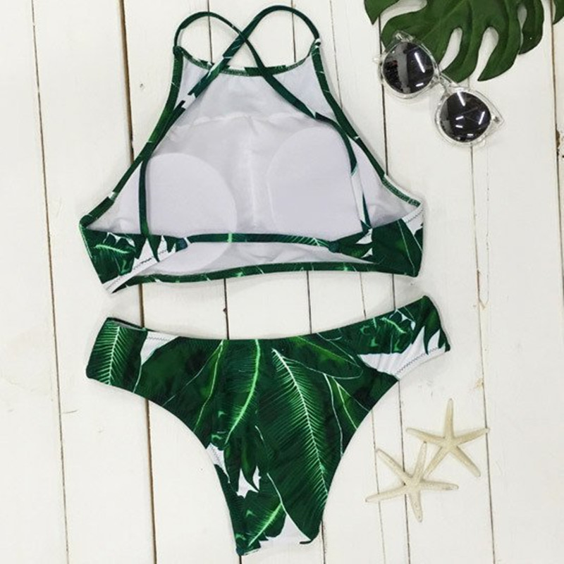 3533724669_757849827