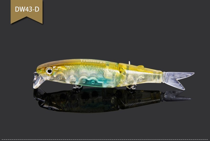 Trulinaoya Minnow 06