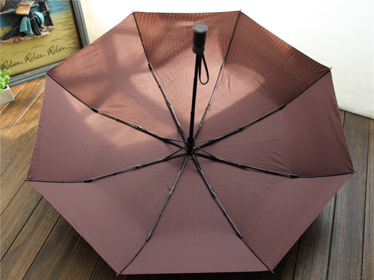 Umbrella paraguas parapluie10.jpg