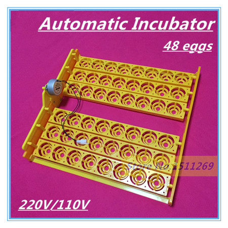 New Automatic Incubator 48 eggs Mini Incubator Poultry Equipment Chicken Duck Goose Bird Incubation Tools Free
