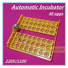 New Automatic Incubator 48 eggs Mini Incubator Poultry Equipment Chicken Duck Goose Bird Incubation Tools Free shipping