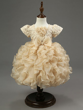 Baby Girls’ Dresses Champagne Bowknot formal dress Flower Girl Dress Princess TUTU dress Autumn Winter Kids Clothing